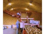 Cellar Insights Launches “Rotten Potato Data Project” to Improve Early Warning for Storage Spoilage