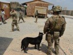 Startup pursues Palmer Luckey’s vision of genetically enhanced military dogs